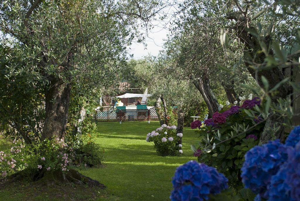 Azienda Agricola Della Mezzaluna Stiava Exterior photo