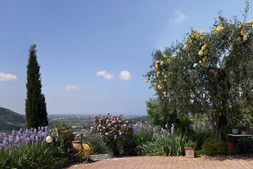 Azienda Agricola Della Mezzaluna Stiava Exterior photo